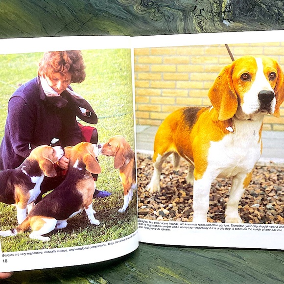 Beagle Books Dogs Educational Academia All Ages Set of Two - Picture 12 of 16